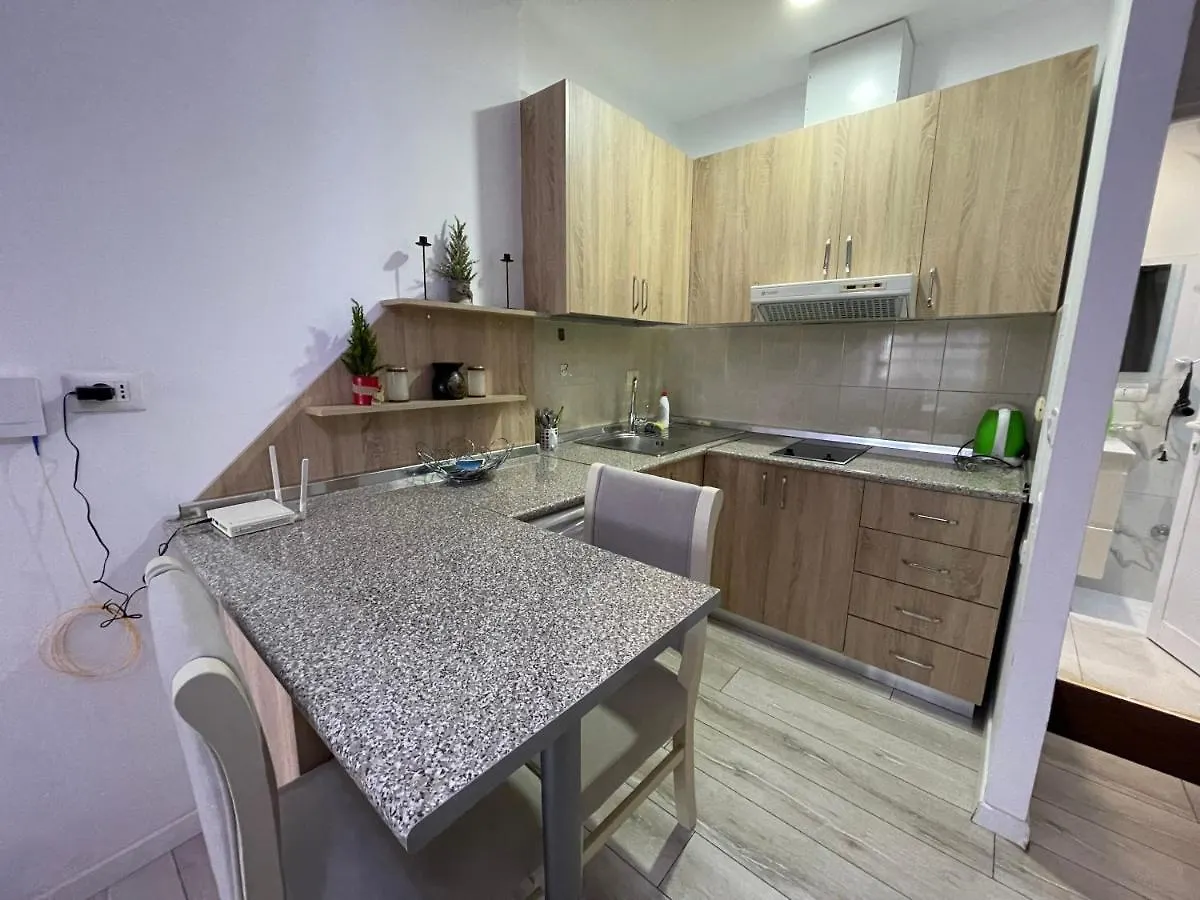 Downtown Modern Studio Apartment 地拉那