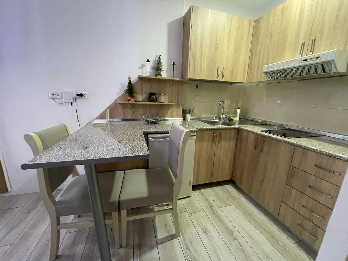 Downtown Modern Studio Apartment 地拉那