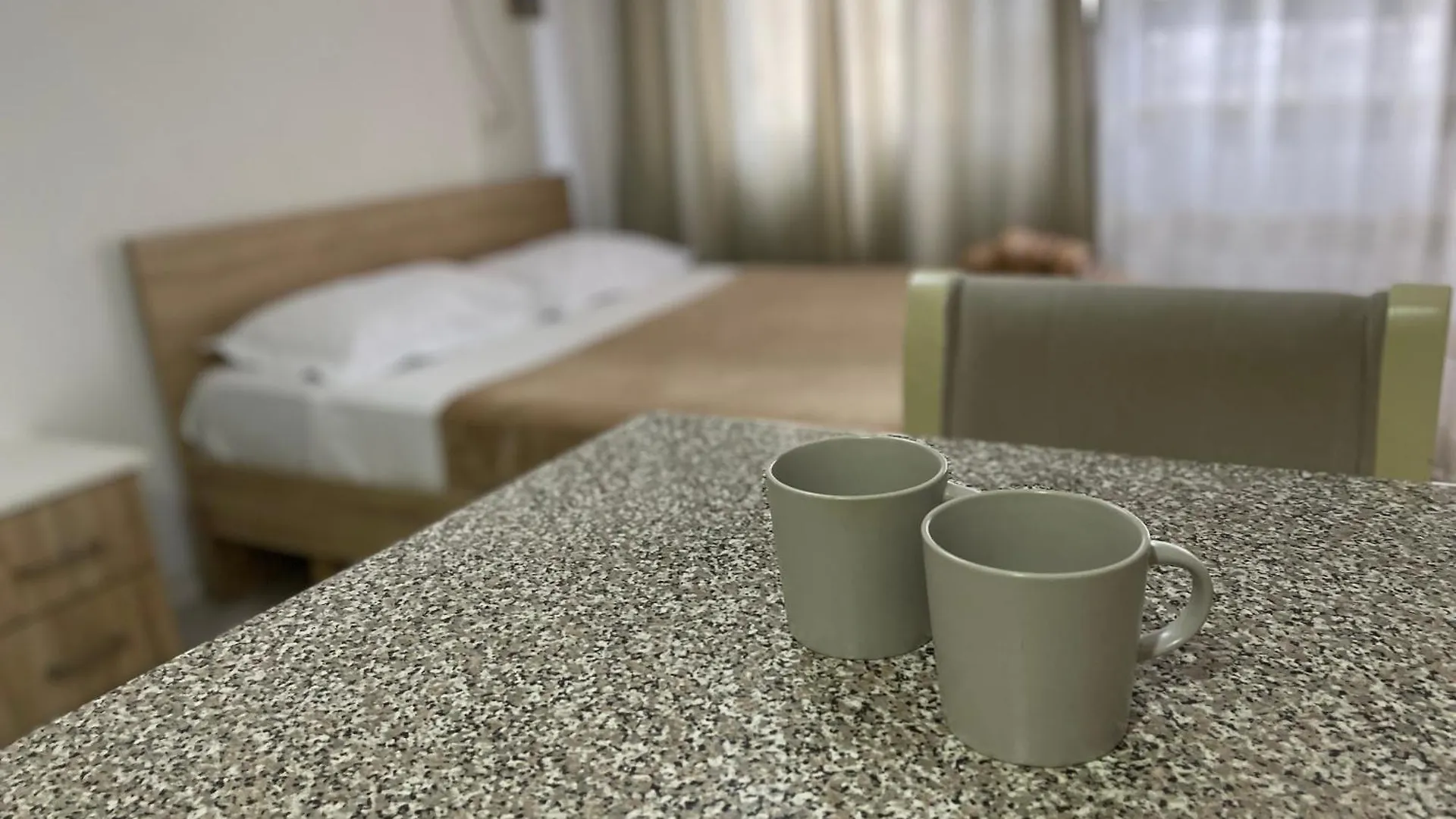 Downtown Modern Studio Apartment 地拉那